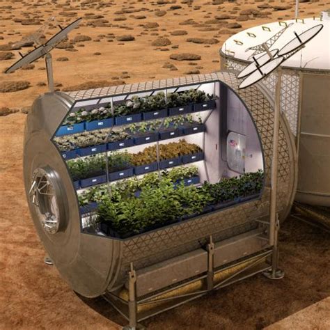 NASA To Start Space Farming In Mars - Agriculture - Nigeria