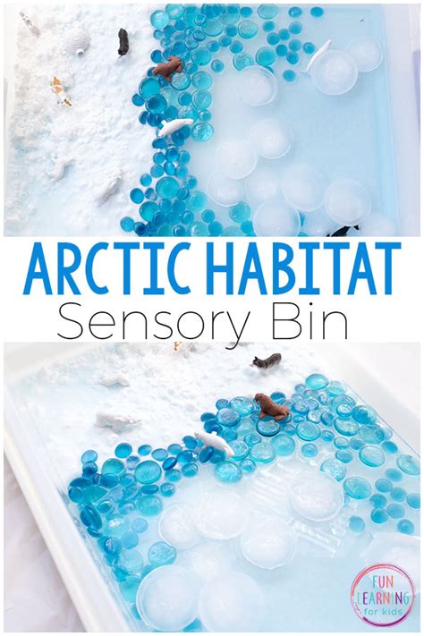 Arctic Winter Wonderland Sensory Bin Toys Pretend Play lifepharmafze.com