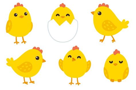 Cute Baby Chick Pictures - ClipArt Best