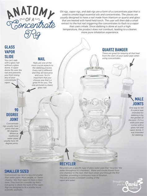 How A Bong Works Diagram