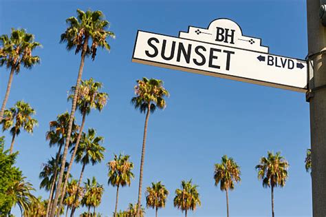 Sunset Boulevard Stock Photos, Pictures & Royalty-Free Images - iStock