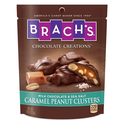 Brach's Chocolate Creations Milk Chocolate & Sea Salt Caramel Peanut ...