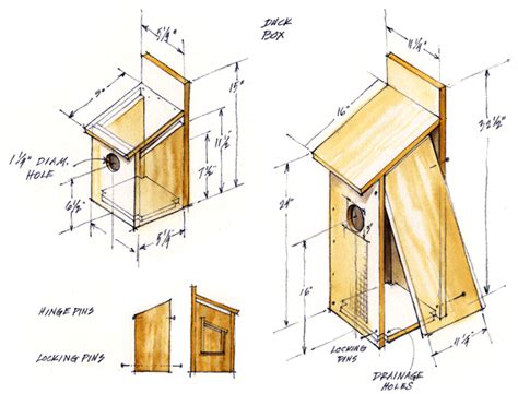 For you Ducks unlimited wood duck box plans ~ Tom Wood