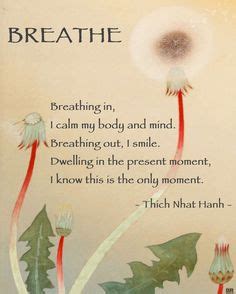 78 Breathing In, Breathing Out - Thich Nhat Hanh ideas in 2021 | thich nhat hanh, thich nhat ...