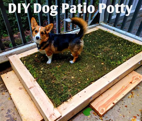 How to Build a DIY Outdoor Dog Potty Area for a Cleaner Yard | Best Diy Pro