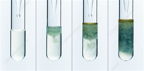 Iron(II) hydroxide precipitate - Stock Image - C043/0484 - Science Photo Library