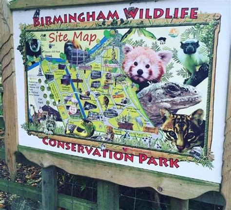 Birmingham Wildlife Conservation Park - 2021 All You Need to Know ...