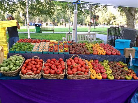 A while back my boyfriend posted a picture of my display at our local ...