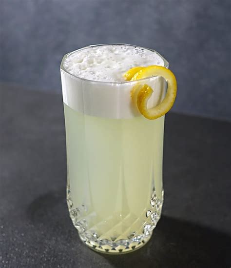 Gin Fizz Recipe | Cocktail Society