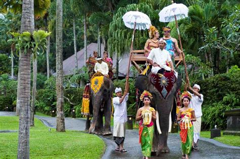 Bali elephant wedding | Elephant wedding package in Bali