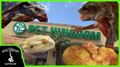 TOURING THE BIGGEST REPTILE SHOP ON THE WEST COAST! (Pet Kingdom, San Diego) - YouTube