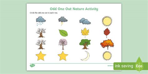 👉 Odd One Out Nature Worksheet (teacher made)