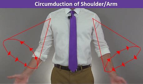 Body Movement Terms – Anatomy Body Planes of Motions