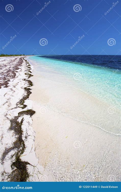 Cayo Largo del Sur, Cuba. stock image. Image of largo - 122011449