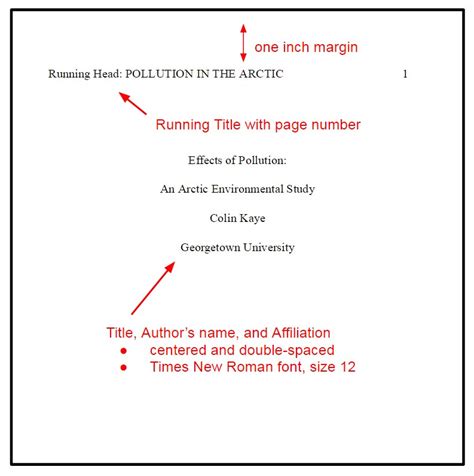 how to write apa style - Molly Vaughan