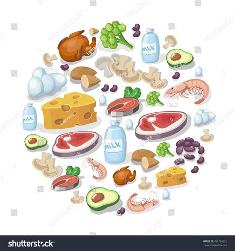 122,494 Alimentos De Origen Animal Y Vegetal Images, Stock Photos, 3D objects, & Vectors ...