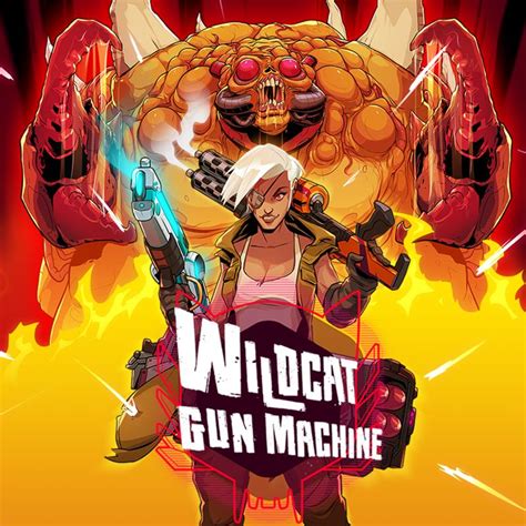 Wildcat Gun Machine (2022) Nintendo Switch box cover art - MobyGames