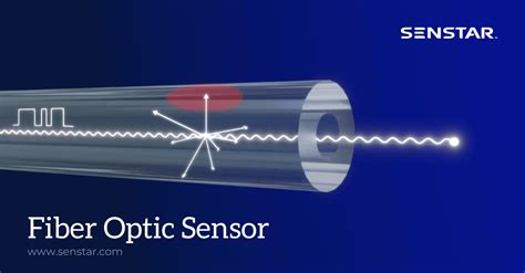 What To Look For in a Fiber Optic Sensor - Senstar