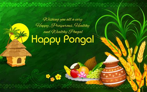 Happy Pongal 2022 Wishes Messages Quotes Greetings Whatsapp Mobile | Porn Sex Picture