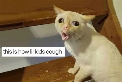 How Kids Cough Meme? - Classified Mom