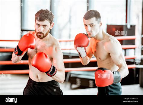 Portrait of a two professional boxers training together on the boxing ...