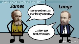 Quiz & Worksheet - James-Lange Theory of Emotion | Study.com