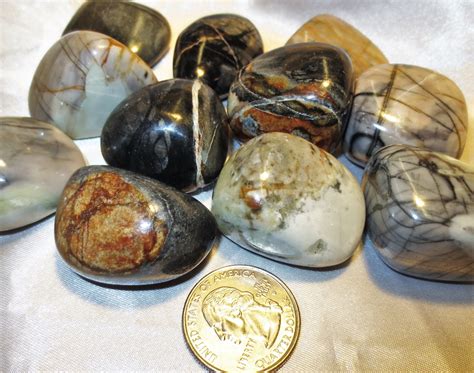 - Jasper, Picasso Stone (Spider Web), Tumbled and Polished #TP-PIC