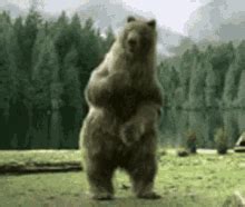 GIF-файлы по теме "Animal Dance" | Tenor