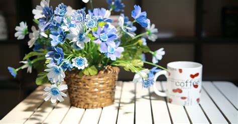 Free stock photo of cup, flowers