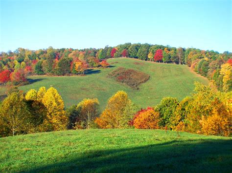 Visit Blue Ridge, GA | Official Travel Guide | Blue Ridge, GA