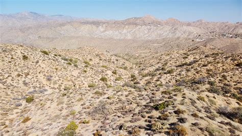 Yucca valley, ca! : r/socalhiking