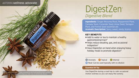 doTERRA DigestZen Digestive Blend Uses and Benefits