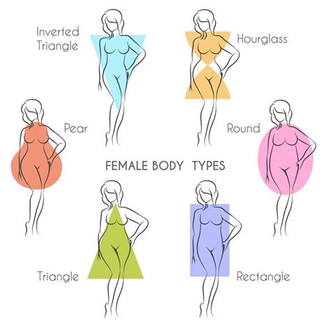 Related image Body Shape Chart, Body Types Chart, Body Type Drawing ...