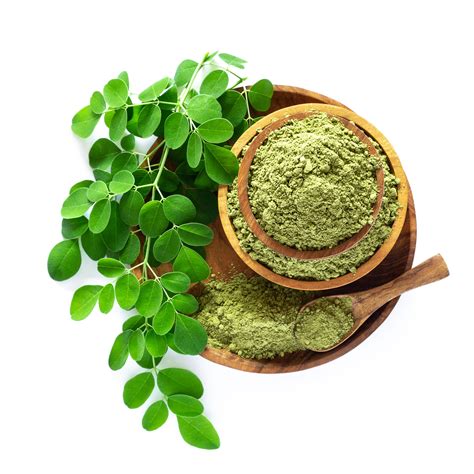 Moringa/ Shigru Leaves Powder Moringa Oleifera | ubicaciondepersonas.cdmx.gob.mx