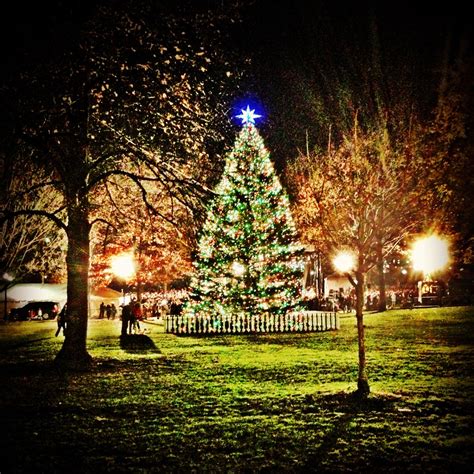 Boston Common Christmas Tree Lighting | Holiday season christmas ...