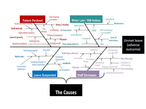 Fishbone Diagram Healthcare