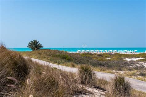 Saadiyat Public Beach, Saadiyat Island, Abu Dhabi, UAE Editorial Image ...