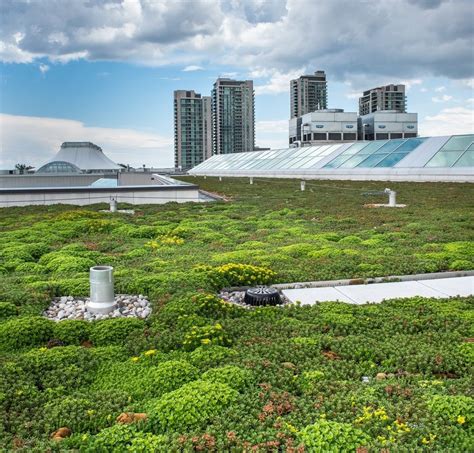 Green Roof Installation And Maintenance Professional (GRIMP) Training ...