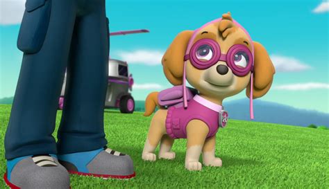 Image - Blimp 26.png | PAW Patrol Wiki | FANDOM powered by Wikia