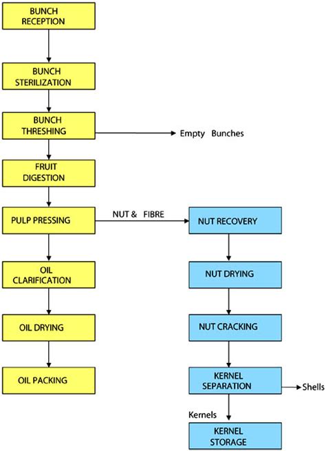 3. PALM OIL PROCESSING