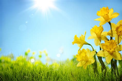 April Spring Wallpapers - Top Free April Spring Backgrounds ...