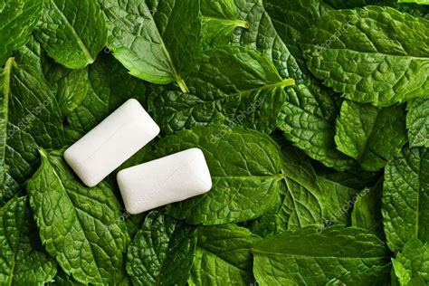 Mint leaves and chewing gum — Stock Photo © jirkaejc #11874411