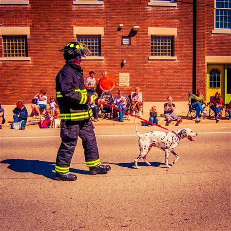 18 best images about Firehouse Dogs on Pinterest