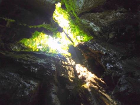 Who Stole the Gold? The Smoke Clears Around the Tayos Caves in Ecuador ...