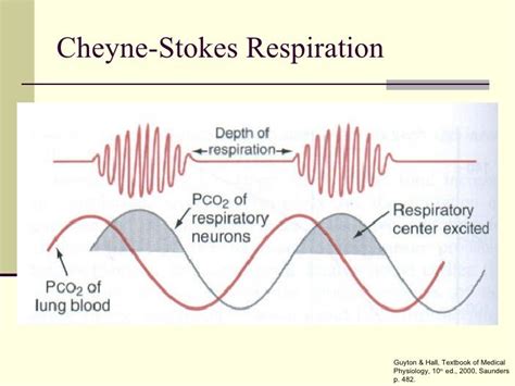 Cheyne stokes and agonal | allnurses