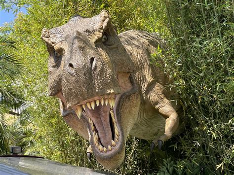 T-Rex photo op returns to Jurassic Park in Islands of Adventure | Inside Universal