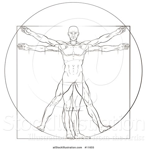 Vector Illustration of a Sketch of Leonard Da Vincis Vitruvian Man by AtStockIllustration - #11655