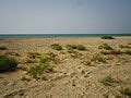 Category:Beaches of Umm al-Quwain - Wikimedia Commons