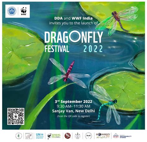 Dragonfly Festival 2022