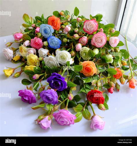 Colorful roses flower background, group of multicolor rose make from ...